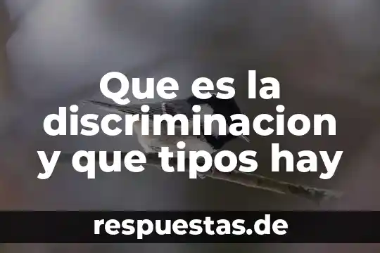 Que es la hipocresía y porque hay que hacerle frente 5 Que es la discriminacion y que tipos hay