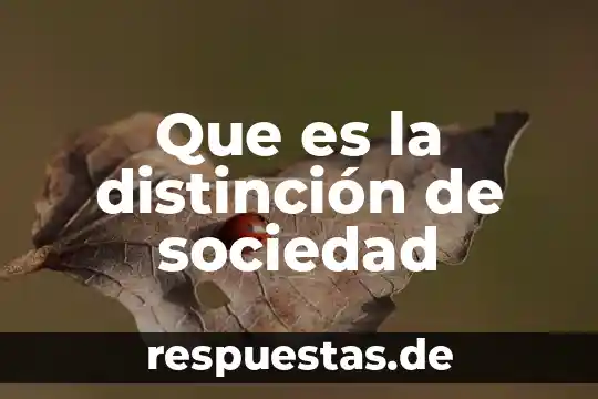 Qué es duración de la sociedad 7 Que es la distinción de sociedad