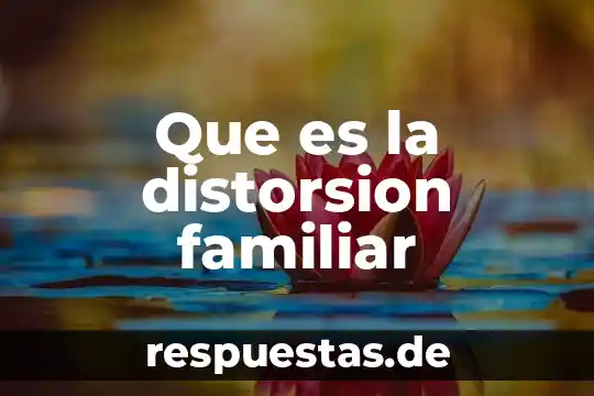 Que es sociedad familiar 3 Que es la distorsion familiar