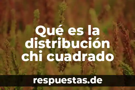 Qué es la distribución chi cuadrado