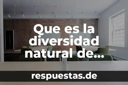 Qué es la teoría de flojisto 7 Que es la diversidad natural de ifomacion pegata