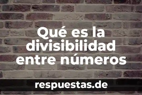 Concepto de que es la divisibilidad 8 Qué es la divisibilidad entre números