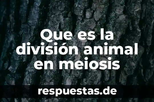 Que es una celulas animal y sus partes 5 Que es la división animal en meiosis