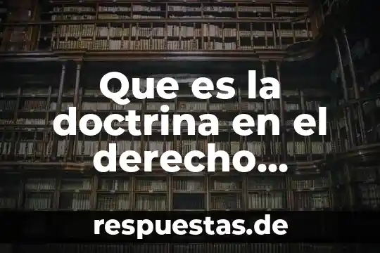 Que es la carrera comercio internacional 8 Que es la doctrina en el derecho internacional