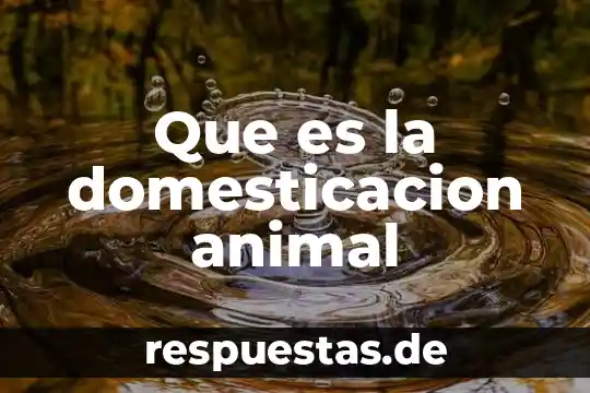 Por que el hombre se dice que es animal 7 Que es la domesticacion animal