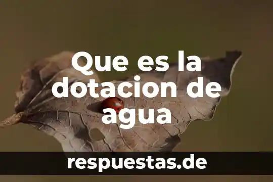Que es el agua animación 5 Que es la dotacion de agua