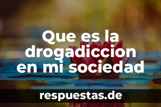 Ejemplos de comida mexicana y qué es una comida mexicana 4 Que es la drogadiccion en mi sociedad