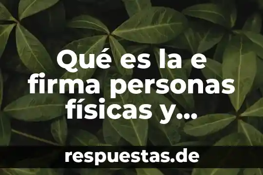 Que es el juego limpio sus reglas y sus pautas 5 Qué es la e firma personas físicas y morales