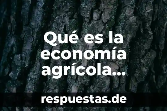 Qué es RI en Economía 3 Qué es la economía agrícola concepto