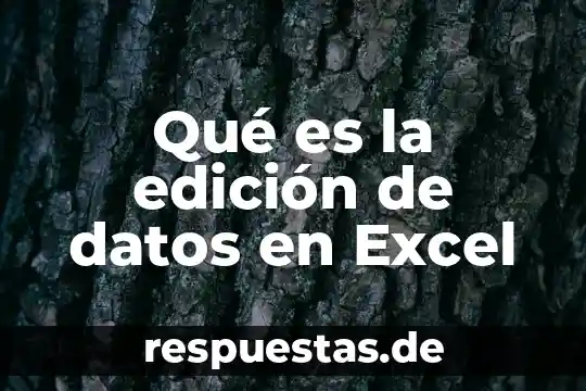 Qué es un gasto en derecho 7 Qué es la edición de datos en Excel