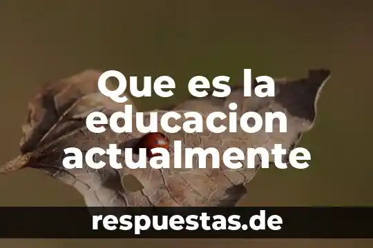 Que es rubrica en educacion fisica 7 Que es la educacion actualmente