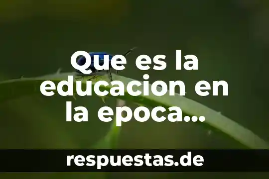 Que es educacion con nombre de autor 6 Que es la educacion en la epoca prehispanica