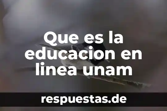 Qué es educación arte y cultura 3 Que es la educacion en linea unam