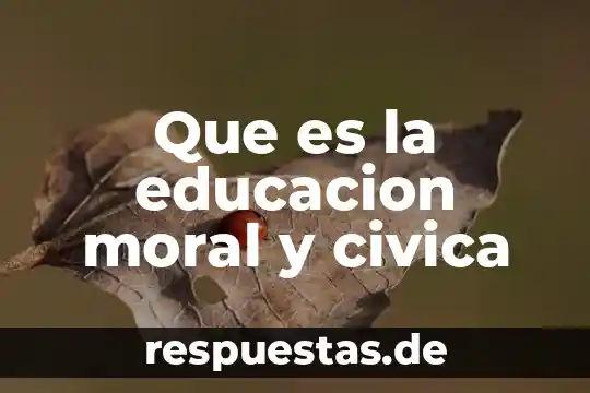 Que es justicia social formacion civica y etica 6 Que es la educacion moral y civica