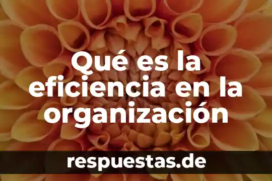 Qué es la eficiencia en la organización