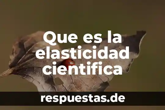 Que es la elasticidad cientifica