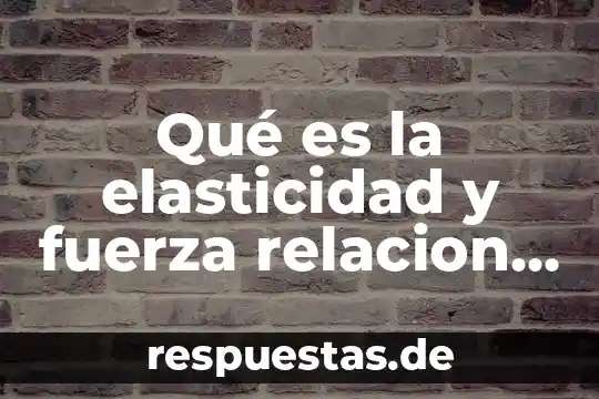 Qué es la elasticidad y fuerza relacion existe anatomía