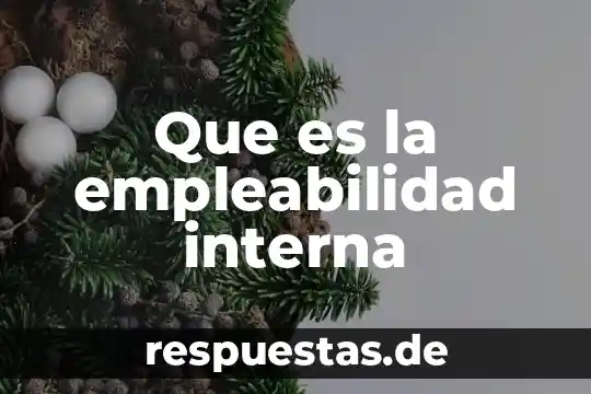 Que es la reman interna en una institucion 6 Que es la empleabilidad interna