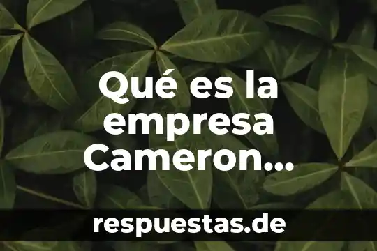 Qué es la empresa Cameron Mexico