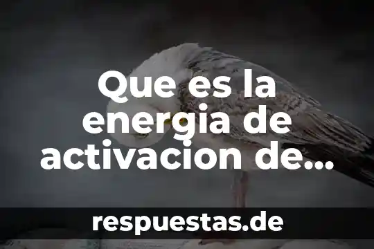 Qué es el producto enzima 5 Que es la energia de activacion de una enzima