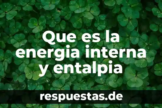 Que es el el animal gwuar 4 Que es la energia interna y entalpia