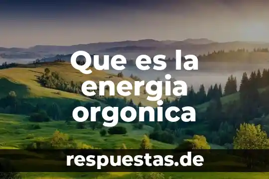 Que es ley de libertad de cultos 5 Que es la energia orgonica