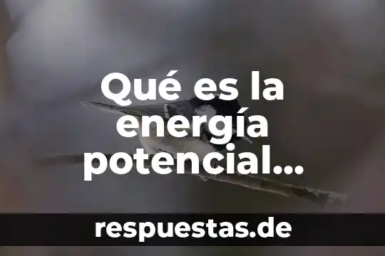 Qué es la energía potencial elástica y la energía cinética 6 Qué es la energía potencial electrostática