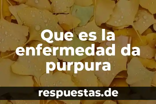 Salud que es purpura 5 Que es la enfermedad da purpura