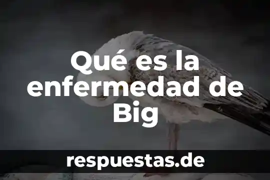 Qué es una herramienta big data 6 Qué es la enfermedad de Big