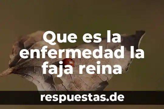 Qué es enfermedad según Florence Nightingale 3 Que es la enfermedad la faja reina