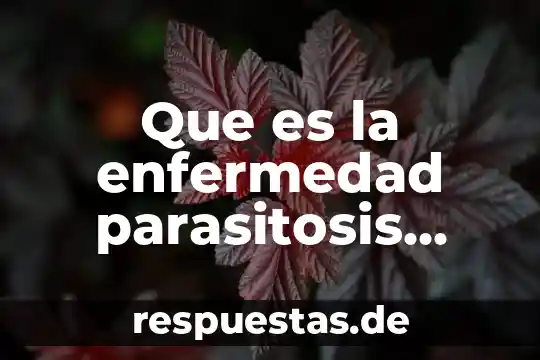Por que es importante la eliminacion intestinal en fisioterapia 3 Que es la enfermedad parasitosis intestinal
