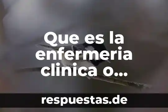 Que es conciencia quirurgica en enfermeria 5 Que es la enfermeria clinica o medico quirurgica