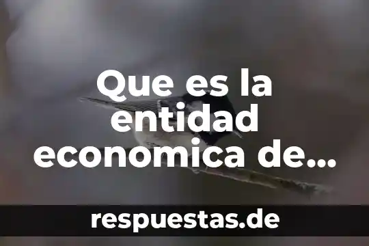 Que es el modelo entidad relación 8 Que es la entidad economica de la contabilidad