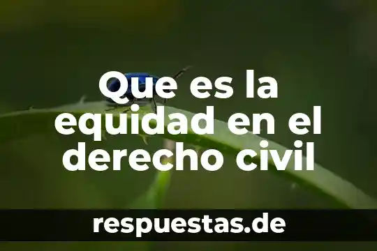 Que es la equidad en el derecho civil