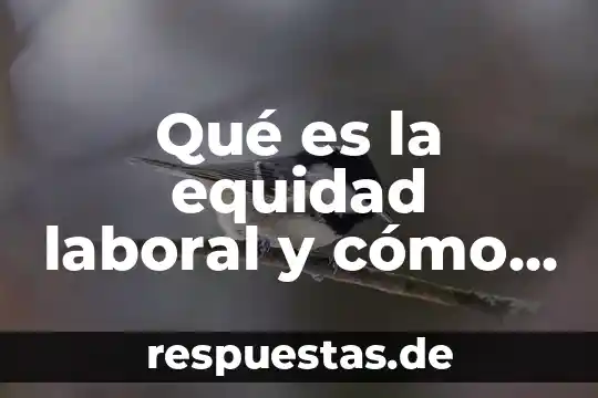 Qué es la equidad laboral y cómo se aplica