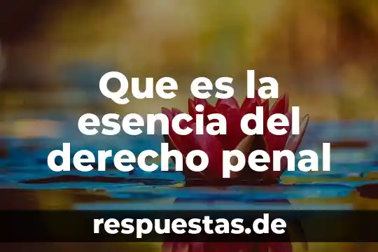 Que es el objeto material en el derecho penal 6 Que es la esencia del derecho penal