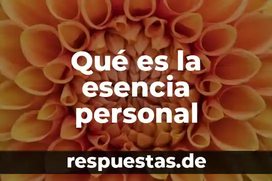 Que es una nomenglatura personal 4 Qué es la esencia personal