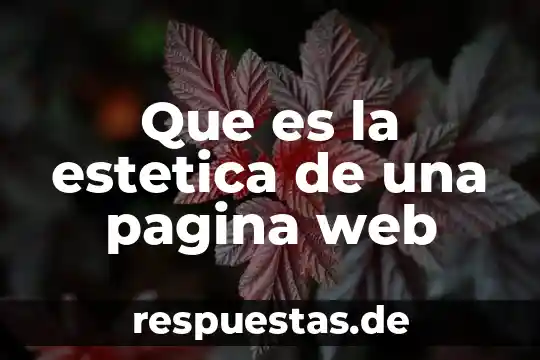 Qué es la estética en un juego 3 Que es la estetica de una pagina web