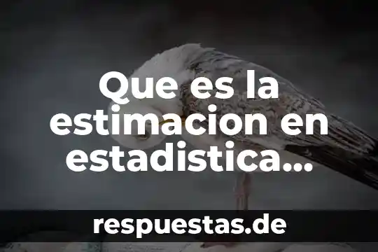 Un concepto características que es 4 Que es la estimacion en estadistica caracteristicas de un estimador