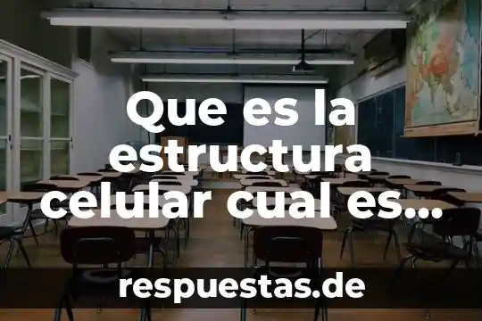 Cual se cree que es el animal mas viejo 5 Que es la estructura celular cual es su funcion
