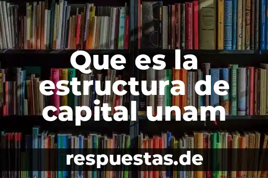 Qué es una estructura y cuáles existen 3 Que es la estructura de capital unam