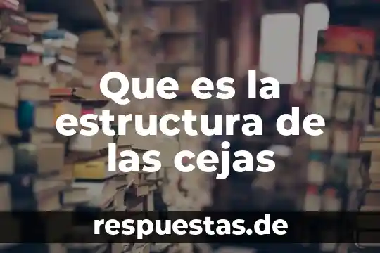 Que es el concepto de emigracion 4 Que es la estructura de las cejas