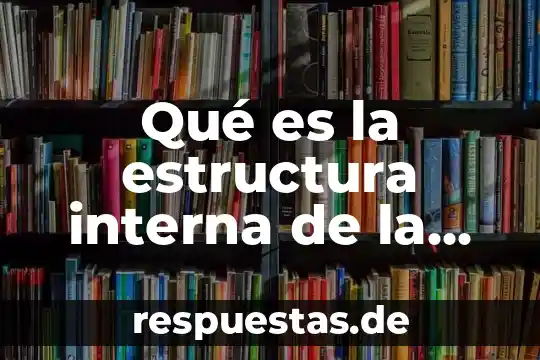 Qué es la estructura interna de la noticia
