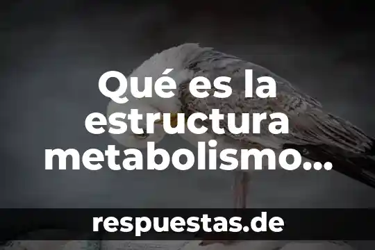 Qué es la parte de la célula animal 6 Qué es la estructura metabolismo de un animal