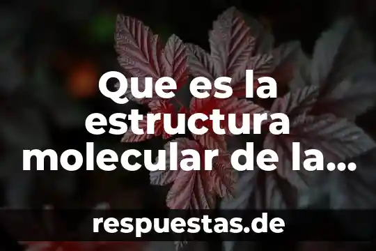 Qué es proteinuria a nivel molecular 8 Que es la estructura molecular de la materia