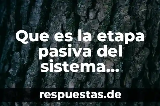 Que es velocidad de un sistema mecanico concepto 6 Que es la etapa pasiva del sistema economico