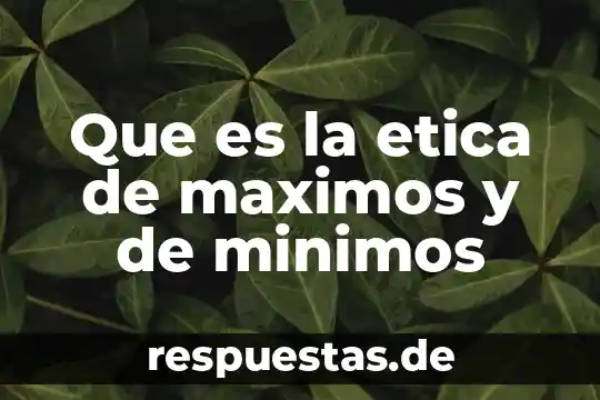 Que es la herencia en la etica 5 Que es la etica de maximos y de minimos