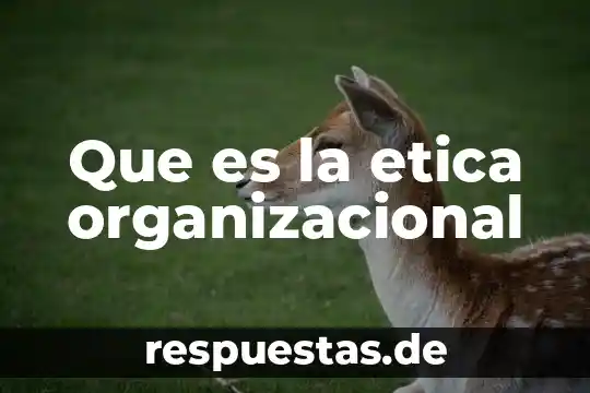 Qué es la cultura organizacional según Stephen Robbins 4 Que es la etica organizacional