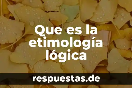 ¿Qué es la lógica dialéctica? 8 Que es la etimología lógica