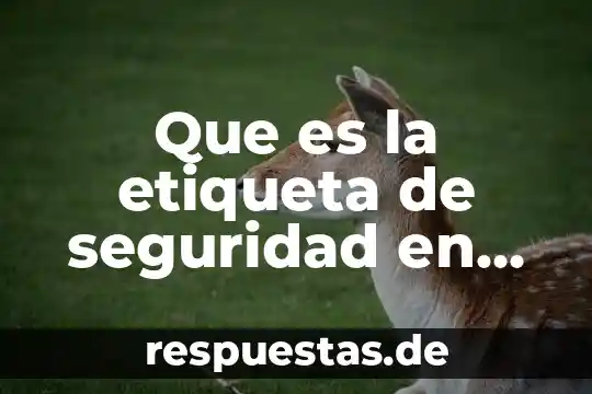 Que es las uniades quimicas 8 Que es la etiqueta de seguridad en sustancias quimicas